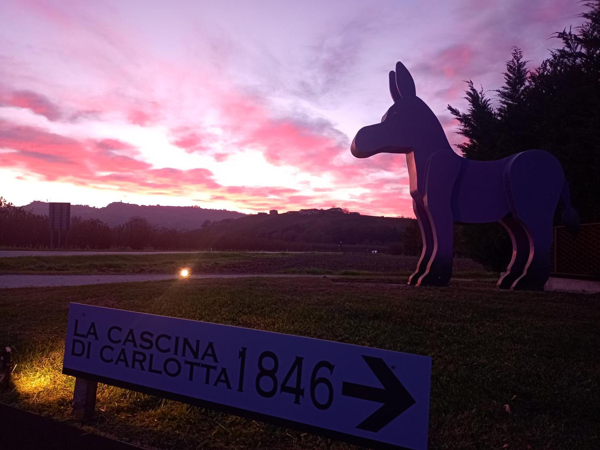La Cascina Di Carlotta 1846 Agriturismo Alba  Exterior foto